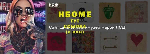 стаф Богданович