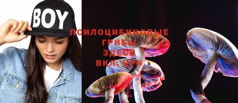 omg рабочий сайт  Вятские Поляны  Галлюциногенные грибы Psilocybine cubensis 